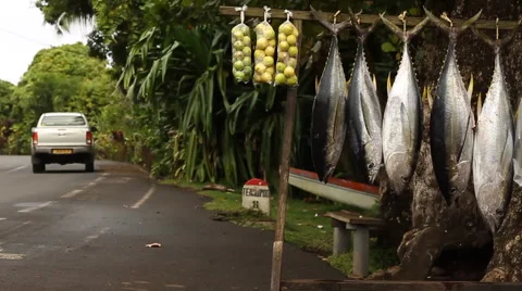 Tahitian Fish Market Video stock 44185534