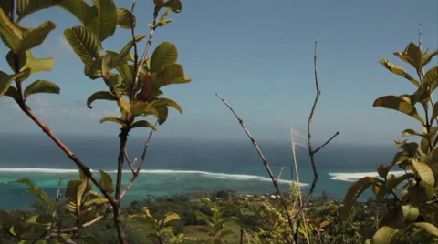 Tahitian panorama Stock Footage 44179621