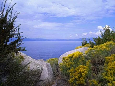 Tahoe Stock Photos