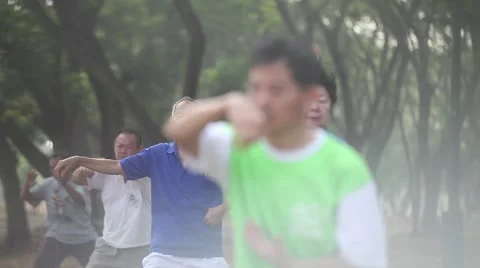 Tai Chi Stock Footage 57666648