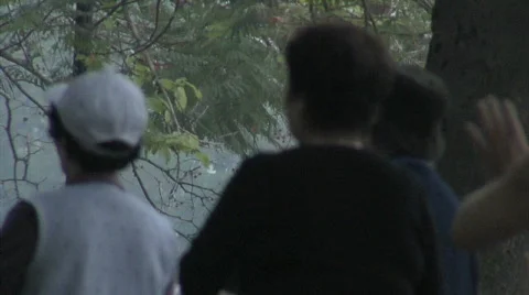 Tai Chi in Park Stock Footage 296796