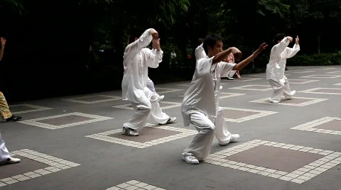 Tai Chi in the park Stock Footage 518858