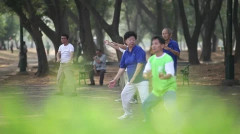 Tai Chi in the park Stock Footage 57678513