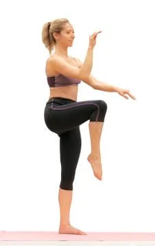 Tai Chi Stock Photos