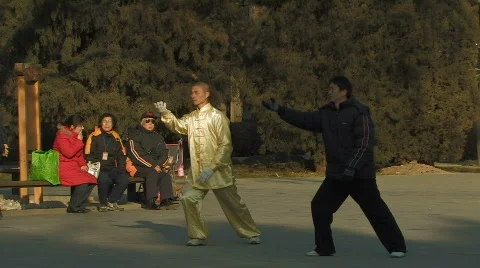 Tai Chi practiced inside Ritan Park in Beijing, China Stock Footage 311198