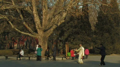 Tai Chi practiced inside Ritan Park in Beijing, China Stock Footage 311873