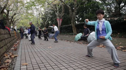 Taichi in the park Vídeos de archivo 127979247