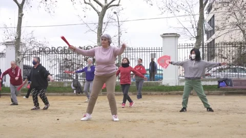 TaiChi teacher practicing with her students in a park Stock Footage 196056792