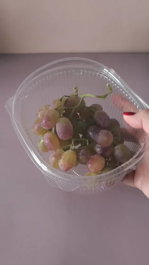 Taifi grapes in plastic container in a womans hand close-up. Storing berries at Stock Footage 324770062