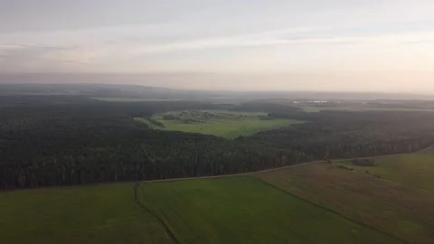 Taiga 01 Video stock 133714804