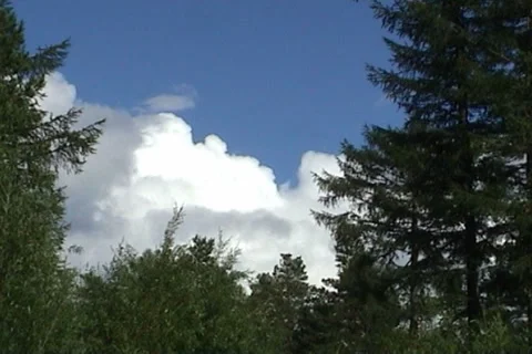 Taiga 02 動画素材 1011927