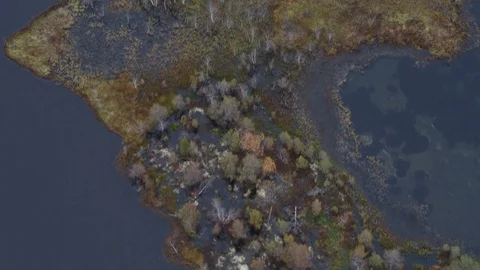 Taiga aerial Stock Footage 83490930