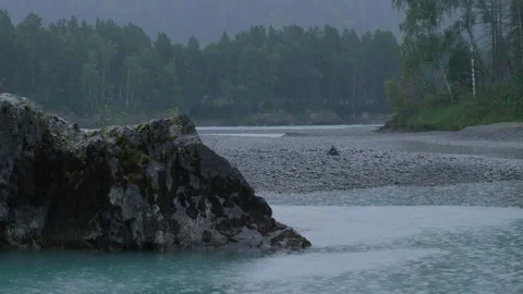 Taiga and rain Stock Footage 171726221