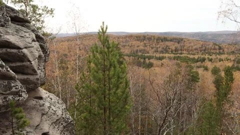 Taiga in autumn. Stock Footage 332276085
