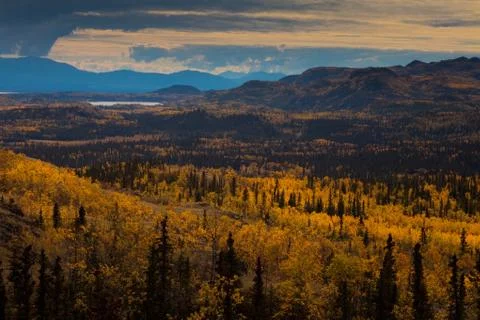 Taiga in fall Stock Photos