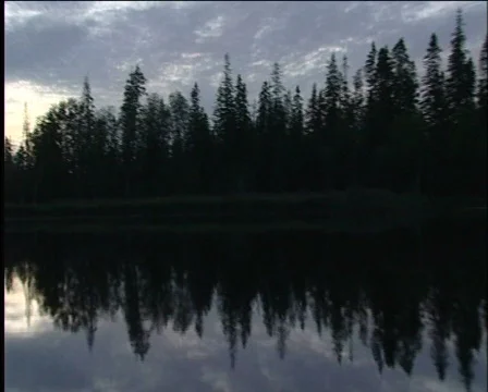 Taiga 스톡 동영상 573216