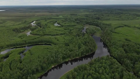 Taiga forest nd winding rivers in Siberia. Aerial view Stock Footage 302109829