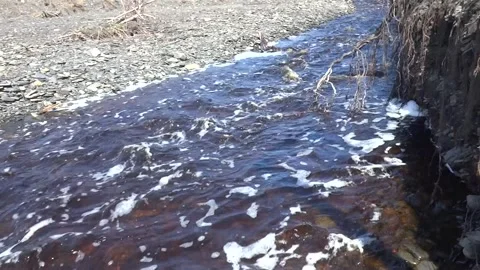 Taiga river in early spring Stock Footage 260644613