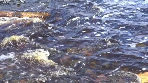 Taiga river in early spring Stock Footage 260644653