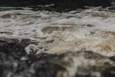 The taiga river flows fast Stock Photos