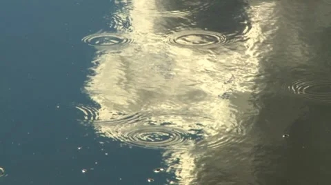 The taiga river Video stock 7754532