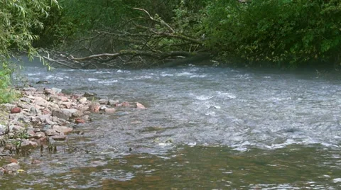 Taiga river Stock Footage 37547292