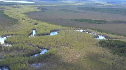 Taiga river Vidéo 54804338