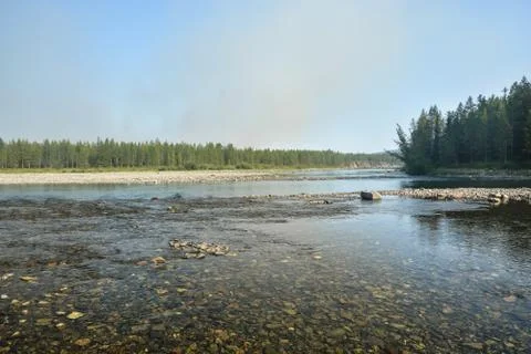 Taiga river. Stock Photos