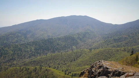 Taiga in Spring, Russia Stock Footage 37865091