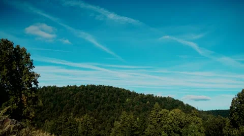 Taiga time lapse Stock Footage 45617333