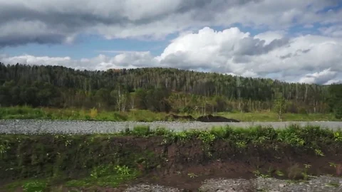 Taiga from the train window Stock Footage 81664120