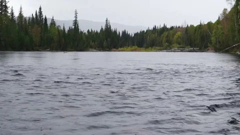 Taiga view from the pitching board Stock Footage 81662124