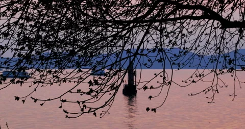 Taihu Lake at sunset Vídeo Stock 245682602