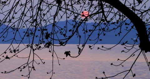 Taihu Lake at sunset 库存影片 245684112