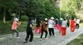 Taiji Fitness Chinese Tai Chi Exercise Nanjing Park Elderly People Meditatation HD Footage