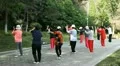 Taiji Fitness Daily Chinese Tai Chi Exercise Nanjing Park Senior People Practice HD Footage