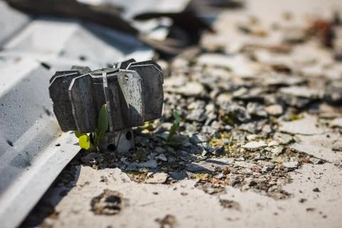 Tail of artillery mine with sprouting around grass Stock Photos