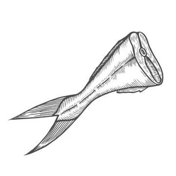 Tail of fish is cut off Stock Illustration