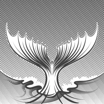 The Tail Illustrazione stock