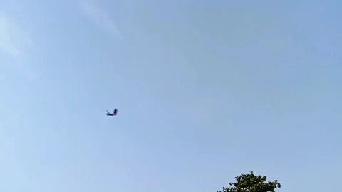 Tail kite flying high in clear blue sky during late afternoon Stock-Footage 325613332