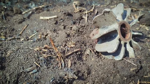 The tail of the mortar shell sticks out of the ground. An unexploded mortar 스톡 동영상 305492623