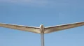 The tail of the plane on a background of blue sky HD Footage