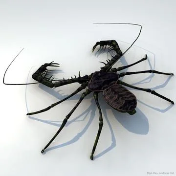 Tailless whip scorpion ~ 3D Model #91579730 | Pond5