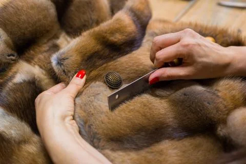 Tailor combing fur coat Stock Photos