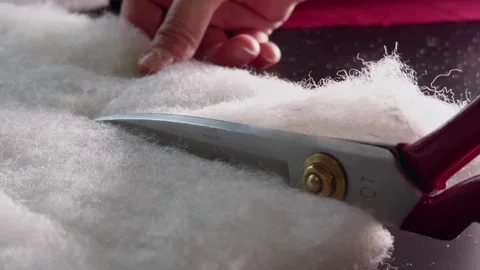 Tailor Cutting Fiber Material Stock Footage 311241550
