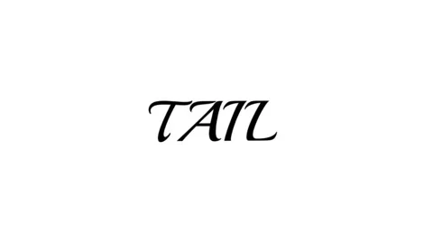 TAILOR Stock Footage 344359639