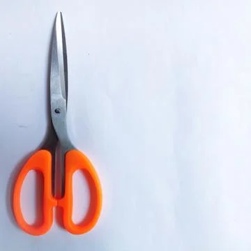 Tailor Scissors for Home use  Stock Photos