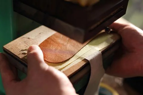Tailor vesicle. Stock Photos