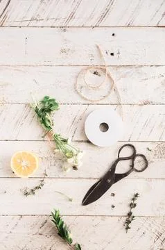 Tailoring Shears Next To Spool of Brown Rope Stock Photos