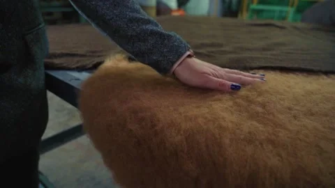 Tailor's hand tracing smoothing a piece of fabric on a table in a workshop Stock Footage 234189882